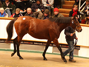 Soinlovewithyou Tops Tattersalls Session Soinlovewithyou Tops Tattersalls Session