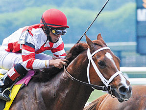 Solar Flare Looks to Shine in Stuyvesant Solar Flare Looks to Shine in Stuyvesant
