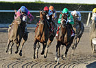 Derby Dozen - March 7, 2011
