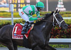 Soldat Favored in Loaded Florida Derby Soldat Favored in Loaded Florida Derby