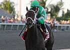 Grade II Winner Soldat Retired Grade II Winner Soldat Retired