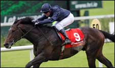 Soldier of Fortune Takes No Prisoners in Irish Derby Soldier of Fortune Takes No Prisoners in Irish Derby