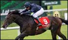 Soldier of Fortune Takes No Prisoners in Irish Derby Soldier of Fortune Takes No Prisoners in Irish Derby