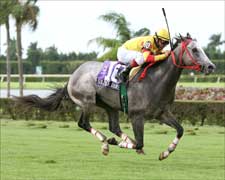 Soldier's Dancer Wins Calder Derby by Six Lengths Soldier's Dancer Wins Calder Derby by Six Lengths
