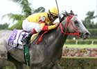 Soldier's Dancer Wins Calder Derby by Six Lengths Soldier's Dancer Wins Calder Derby by Six Lengths