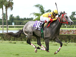 Turf Million First Big Event at Calder Turf Million First Big Event at Calder