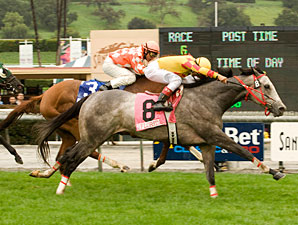 Soldier's Dancer Hits Sunshine Turf Mark Soldier's Dancer Hits Sunshine Turf Mark