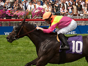 Nine Vie for Breeders Cup Berth in Canadian Nine Vie for Breeders Cup Berth in Canadian