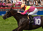 Nine Vie for Breeders Cup Berth in Canadian Nine Vie for Breeders Cup Berth in Canadian