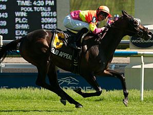 Solid Appeal Makes Strong Case in Nassau Win Solid Appeal Makes Strong Case in Nassau Win