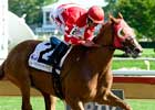 Solo Survivor Skims Rail in Matron Handicap Solo Survivor Skims Rail in Matron Handicap