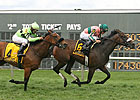 Somali Lemonade Squeezes Out James Penny Win Somali Lemonade Squeezes Out James Penny Win