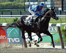 Grade II Winner Songster Retired to Darley Grade II Winner Songster Retired to Darley