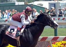 Songster All Alone at Wire in Hirsch Jacobs Stakes Songster All Alone at Wire in Hirsch Jacobs Stakes