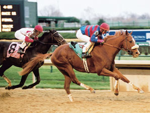 Grade II Winner Soto to Walmac Grade II Winner Soto to Walmac