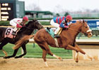 Grade II Winner Soto to Walmac