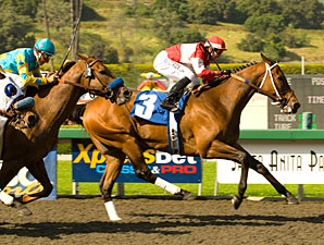 Soul City Slew, Siren Lure Clash in L.A. 'Cap Soul City Slew, Siren Lure Clash in L.A. 'Cap
