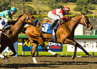 Soul City Slew 'Grande' at Santa Anita Soul City Slew 'Grande' at Santa Anita