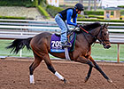 Souper Colossal a Hot Juvenile Longshot Souper Colossal a Hot Juvenile Longshot
