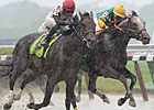 Souper Speedy Awarded Jaipur Victory Via DQ Souper Speedy Awarded Jaipur Victory Via DQ