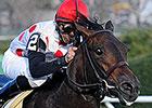 Souper Speedy Retired to Ontario's Mapleville Souper Speedy Retired to Ontario's Mapleville