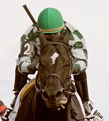 Southdale Takes Rail to Durham Cup Triumph Southdale Takes Rail to Durham Cup Triumph