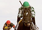 Southdale Takes Rail to Durham Cup Triumph Southdale Takes Rail to Durham Cup Triumph