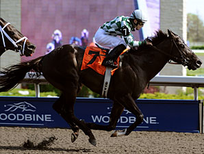 Southdale Makes the Grade in Eclipse Stakes Southdale Makes the Grade in Eclipse Stakes