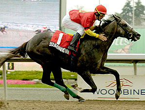Southern Exchange Tough in Futurity Southern Exchange Tough in Futurity