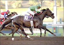 Southern Image Rides Upset Wave in Malibu Southern Image Rides Upset Wave in Malibu