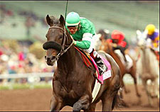 Southern Image Caps Florida Day in Millions Classic Southern Image Caps Florida Day in Millions Classic