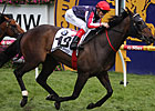 Southern Speed Solid Winner of Caulfield Cup Southern Speed Solid Winner of Caulfield Cup