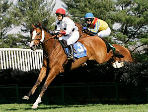 Sovereign Duty Rules In 'Royal Chase' Sovereign Duty Rules In 'Royal Chase'
