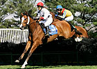 Sovereign Duty Rules In 'Royal Chase' Sovereign Duty Rules In 'Royal Chase'