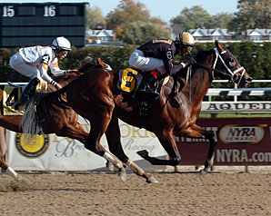 'Ballet, 'Spanky Win at Aqueduct 'Ballet, 'Spanky Win at Aqueduct