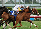 Speak Easy Gal Gets Last Word in Orchid Speak Easy Gal Gets Last Word in Orchid