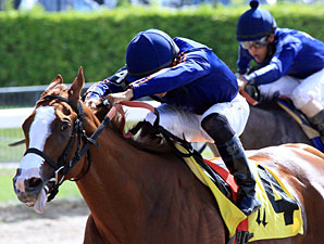 Spectacular Sky Aims to Make Vagrancy Grade Spectacular Sky Aims to Make Vagrancy Grade