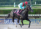 Speechify Goes for Grade in Mr. Prospector Speechify Goes for Grade in Mr. Prospector