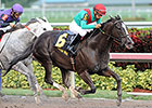 Speechify Takes Mr. Prospector at Gulfstream Speechify Takes Mr. Prospector at Gulfstream