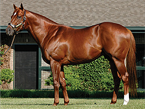 Speightstown Fulfills His Promise Speightstown Fulfills His Promise