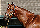 Speightstown Fulfills His Promise Speightstown Fulfills His Promise