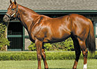 First Winner for Speightstown First Winner for Speightstown