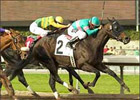 Grade II Winner Spellbinder to Stonewall