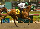 Maiden Harlene Leads Gold Rush Upsets Maiden Harlene Leads Gold Rush Upsets