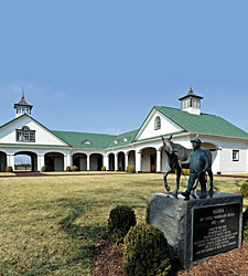 Bloodstock & Markets - Proven Sires Rule Bloodstock & Markets - Proven Sires Rule
