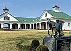 Bloodstock & Markets - Proven Sires Rule Bloodstock & Markets - Proven Sires Rule