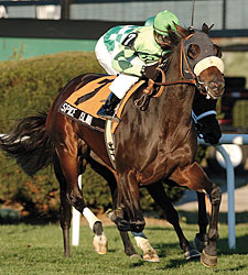 Keeneland January Sale: Pedigree Power Keeneland January Sale: Pedigree Power