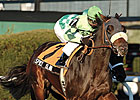 Keeneland January Sale: Pedigree Power Keeneland January Sale: Pedigree Power