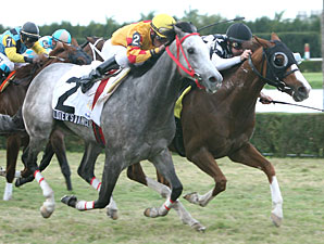 Spice Route Ekes Out Tropical Turf Win Spice Route Ekes Out Tropical Turf Win