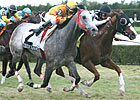 Spice Route Ekes Out Tropical Turf Win